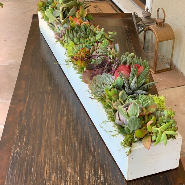 Spectacular Succulent Centerpiece, Long Handcrafted Wood Box, Succulent Home Decor, Low Profile Floral Dining Table Decor