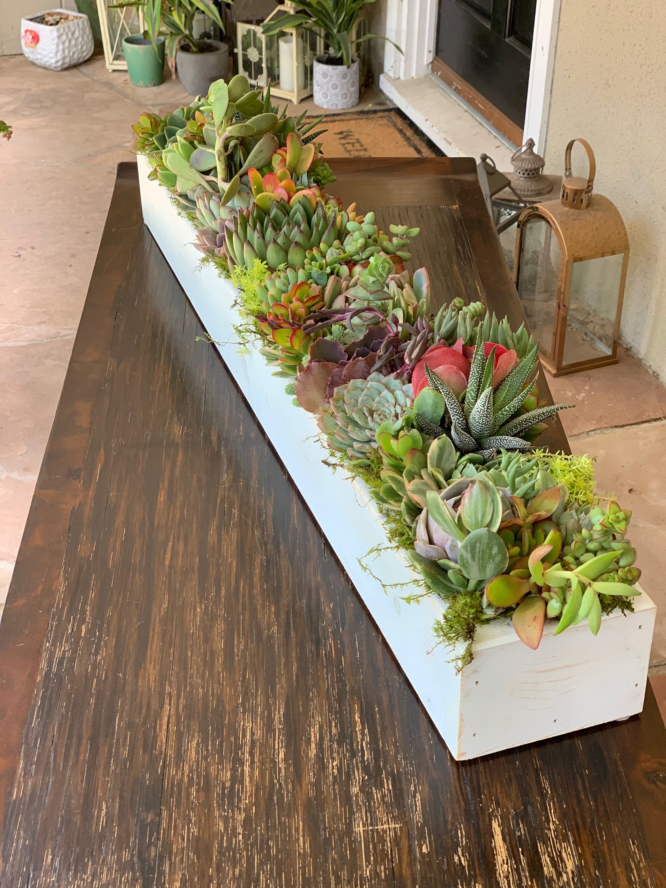 Spectacular Succulent Centerpiece Long Handcrafted Wood Box
