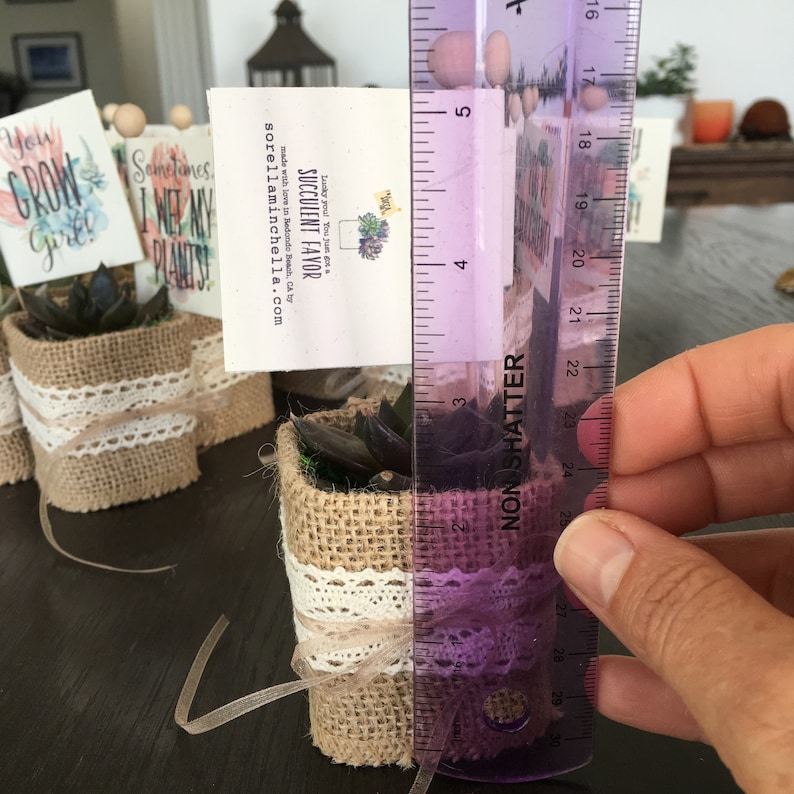 Baby Shower Favors Succulent Favors With Plant Puns & Baby Etsy