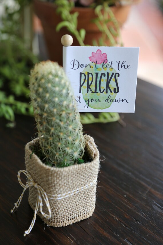 Cactus Breakup Gift Box Prick Pun for Divorce, Separation, Dating, Bad Ex with Pun Stickers // SHIPS FREE