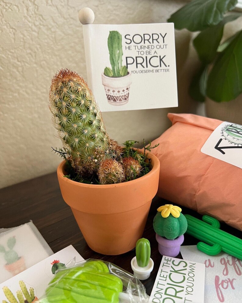 A peanut cactus with two small round cacti in a pot with a tag that reads Sorry he turned out to be a prick, as a breakup gift
