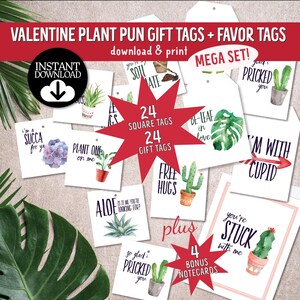 Mega Set de etiquetas para el día de San Valentín con frases ingeniosas sobre plantas, etiquetas divertidas para el día de San Valentín para profesores y amigos, 2 juegos, tarjetas de notas a juego adicionales