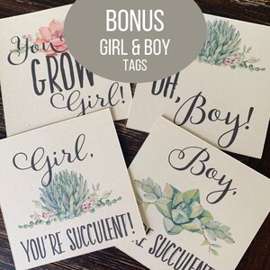 May include: Four square paper tags featuring watercolor succulent illustrations and black text. The tags read: You Grow Girl!, Oh, Boy!, Girl. You're Succulent!, and Boy. You're Succulent!. The designs are printed on off-white cardstock with botanical accents.