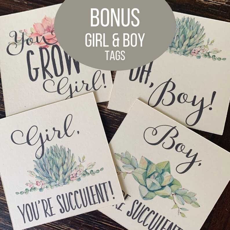 May include: Four square paper tags featuring watercolor succulent illustrations and black text. The tags read: You Grow Girl!, Oh, Boy!, Girl. You're Succulent!, and Boy. You're Succulent!. The designs are printed on off-white cardstock with botanical accents.