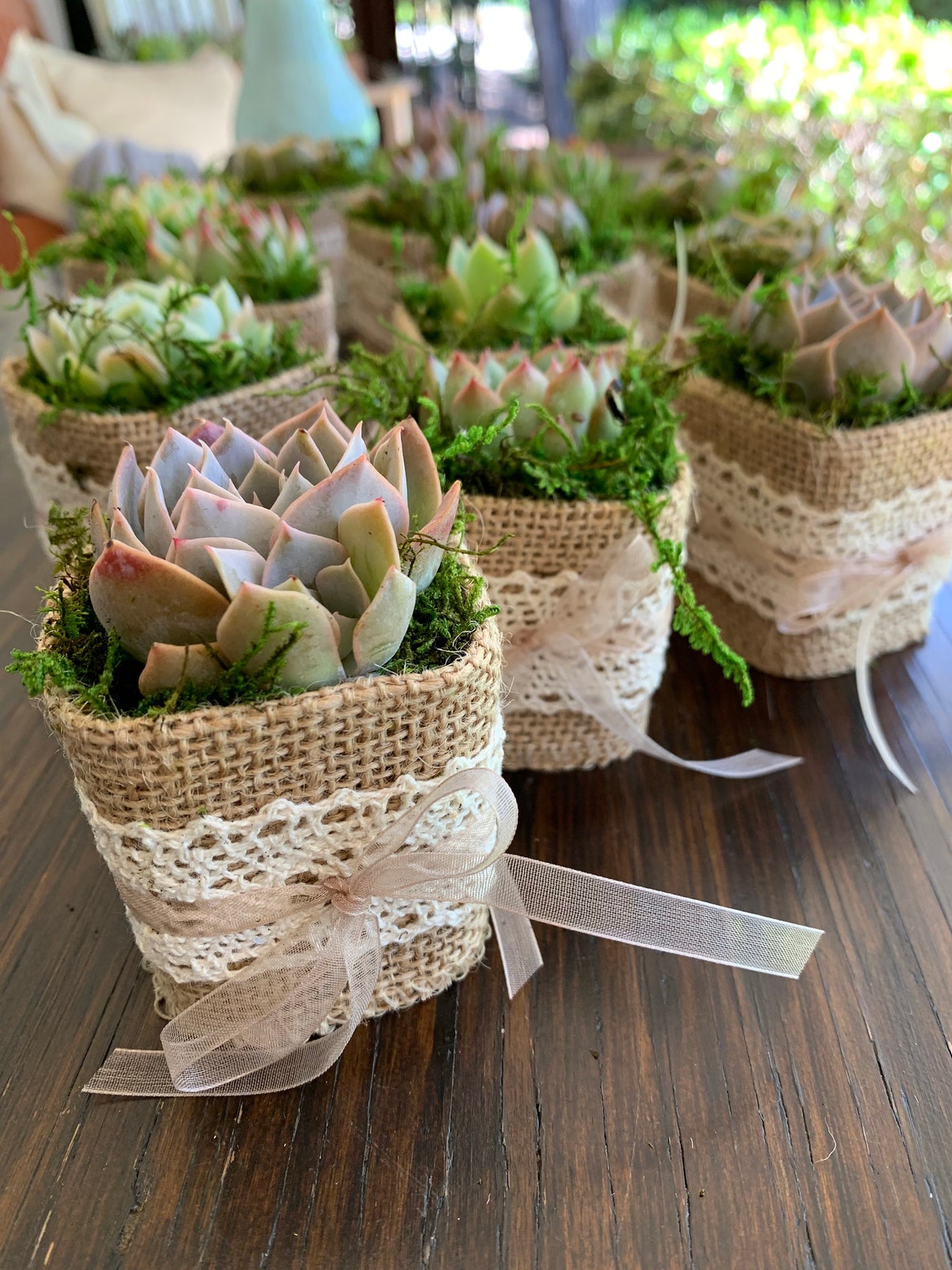 Bridal Shower Favors Succulents Personalized with Custom Tags Etsy