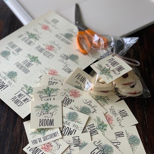 Baby Shower Plant Pun Tag Set, Succulent Theme, Printable