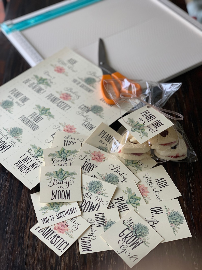 Baby Shower Plant Pun Tag Set, Succulent Theme, Printable