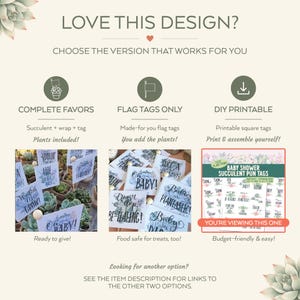 May include: An infographic titled LOVE THIS DESIGN? presenting three options for succulent party favors: Complete Favors with plants, Flag Tags Only, and DIY Printable square tags. The DIY option is highlighted with a red border.
