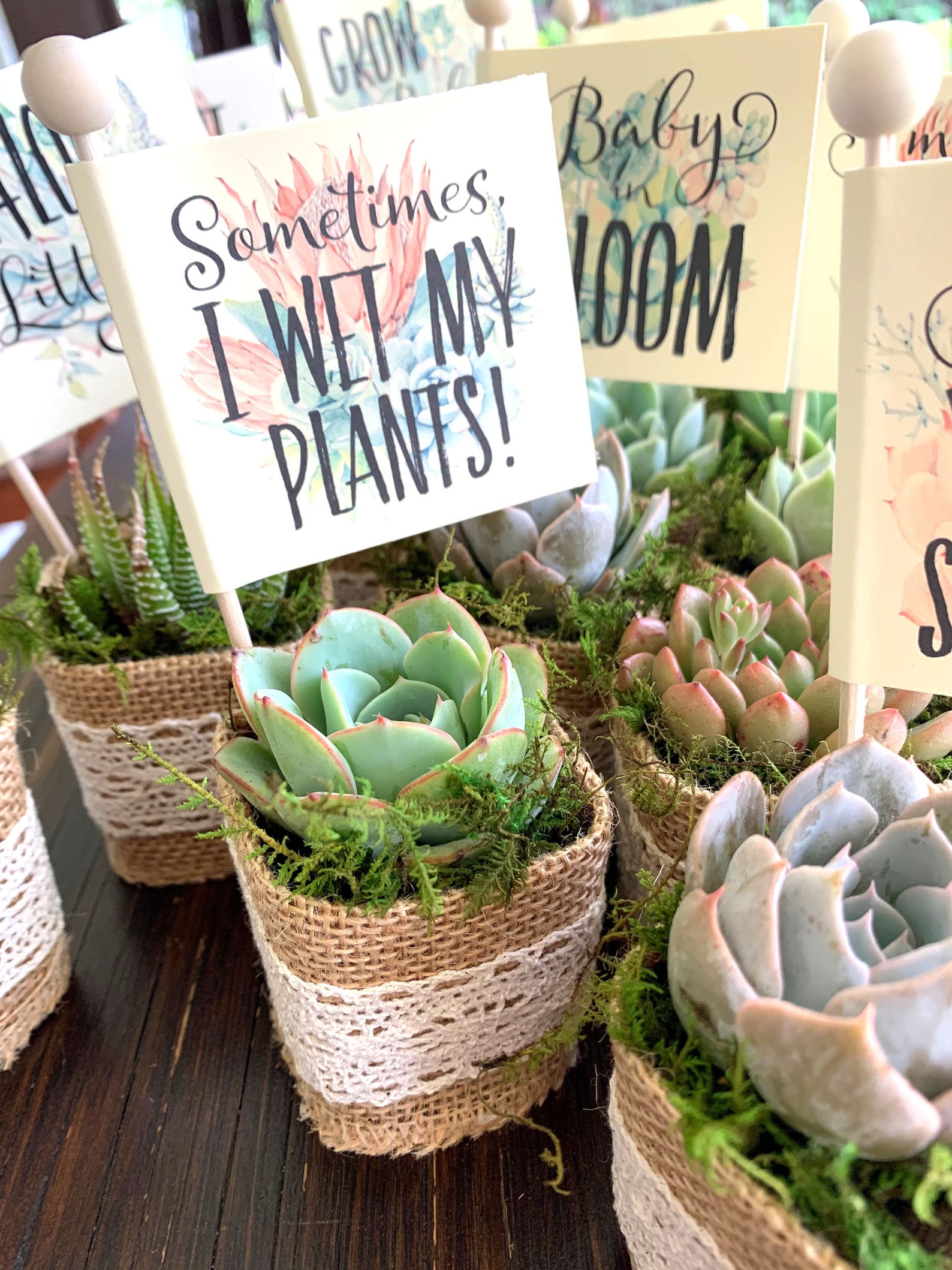 Baby Shower Favors, Boho Baby Shower, Succulent Favors With ...