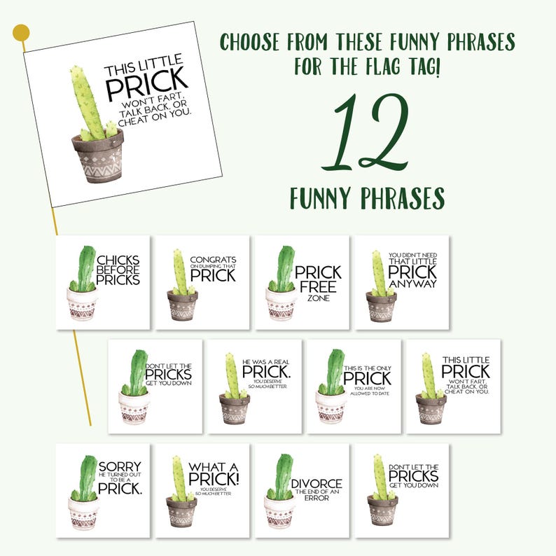 May include: A selection of 12 humorous flag tags, each with a cactus illustration and a funny phrase. Phrases include "This Little Prick", "Chicks Before Pricks", and "Prick Free Zone". Text is black on a white background.