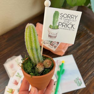 May include: A small terracotta pot with a cactus and moss. A small flag with a cactus illustration and the text "SORRY HE TURNED OUT TO BE A PRICK. YOU DESERVE BETTER." is placed in the pot. A green cactus pen is also visible.