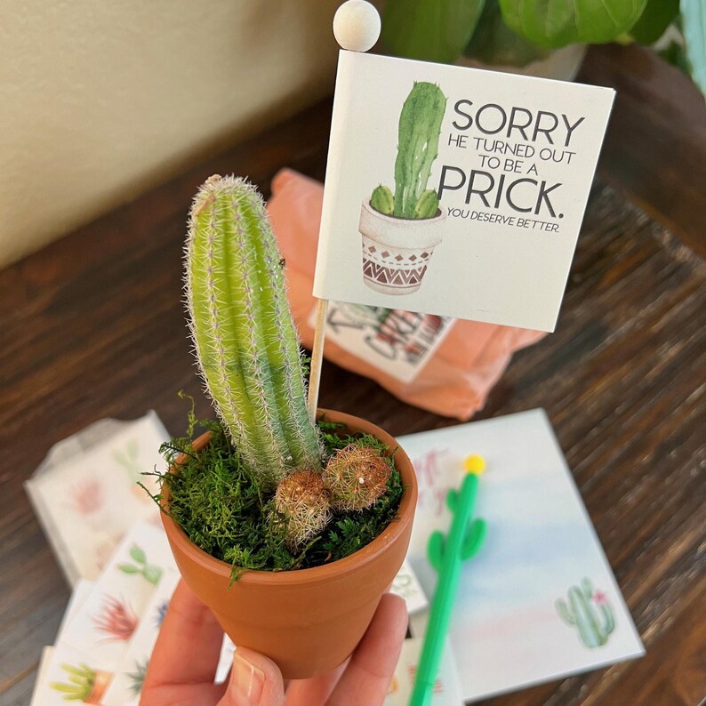 May include: A small terracotta pot with a cactus and moss. A small flag with a cactus illustration and the text "SORRY HE TURNED OUT TO BE A PRICK. YOU DESERVE BETTER." is placed in the pot. A green cactus pen is also visible.