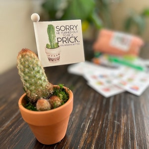 Sorry He Turned Out to Be a Prick, Cactus Pun Breakup Gift, Gift for Divorce, Bad Break Up, Online Dating Sucks, Funny Care Package