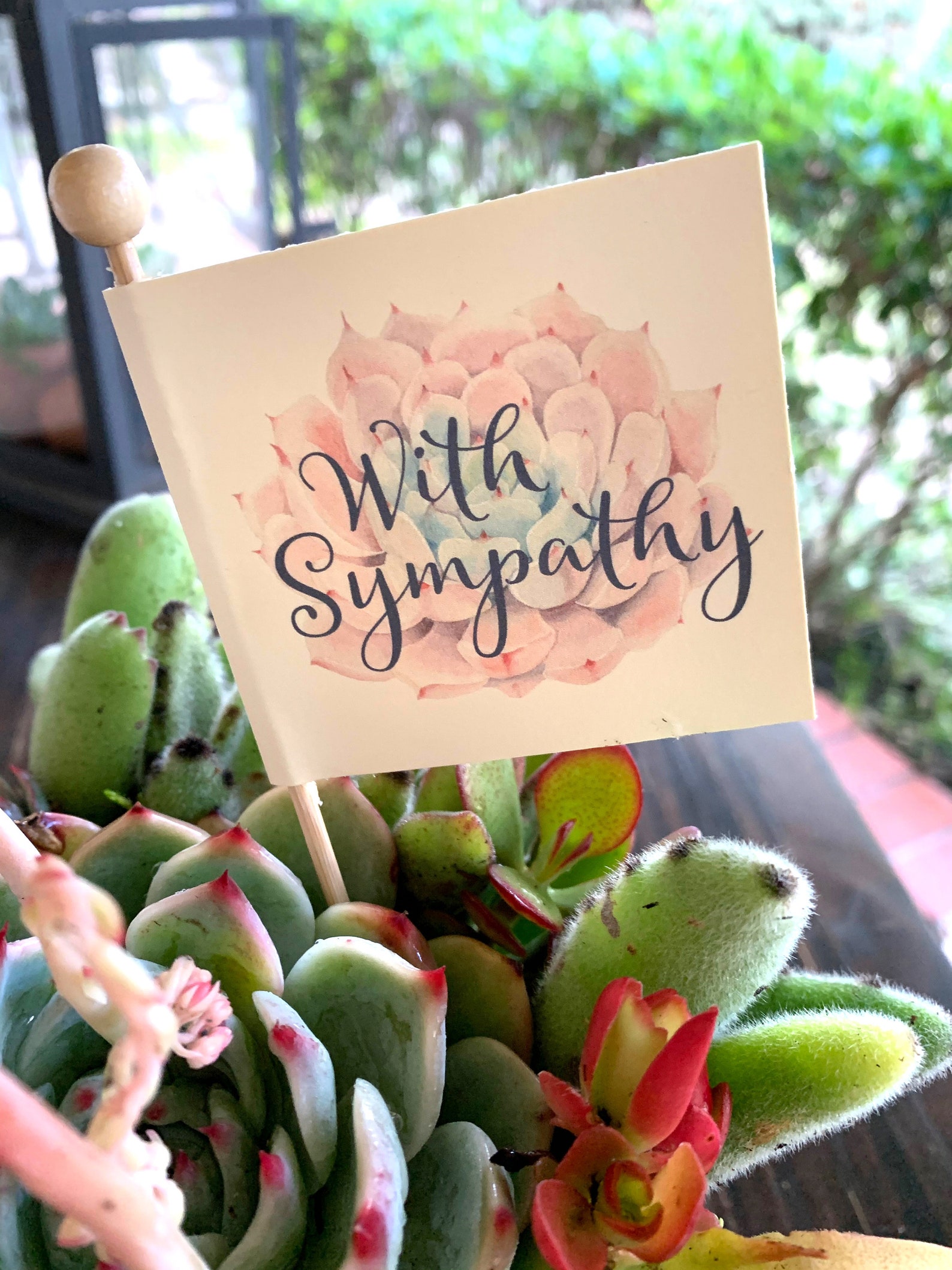 Loss of Pet Sympathy Box Succulent Arrangement Gift Living Etsy