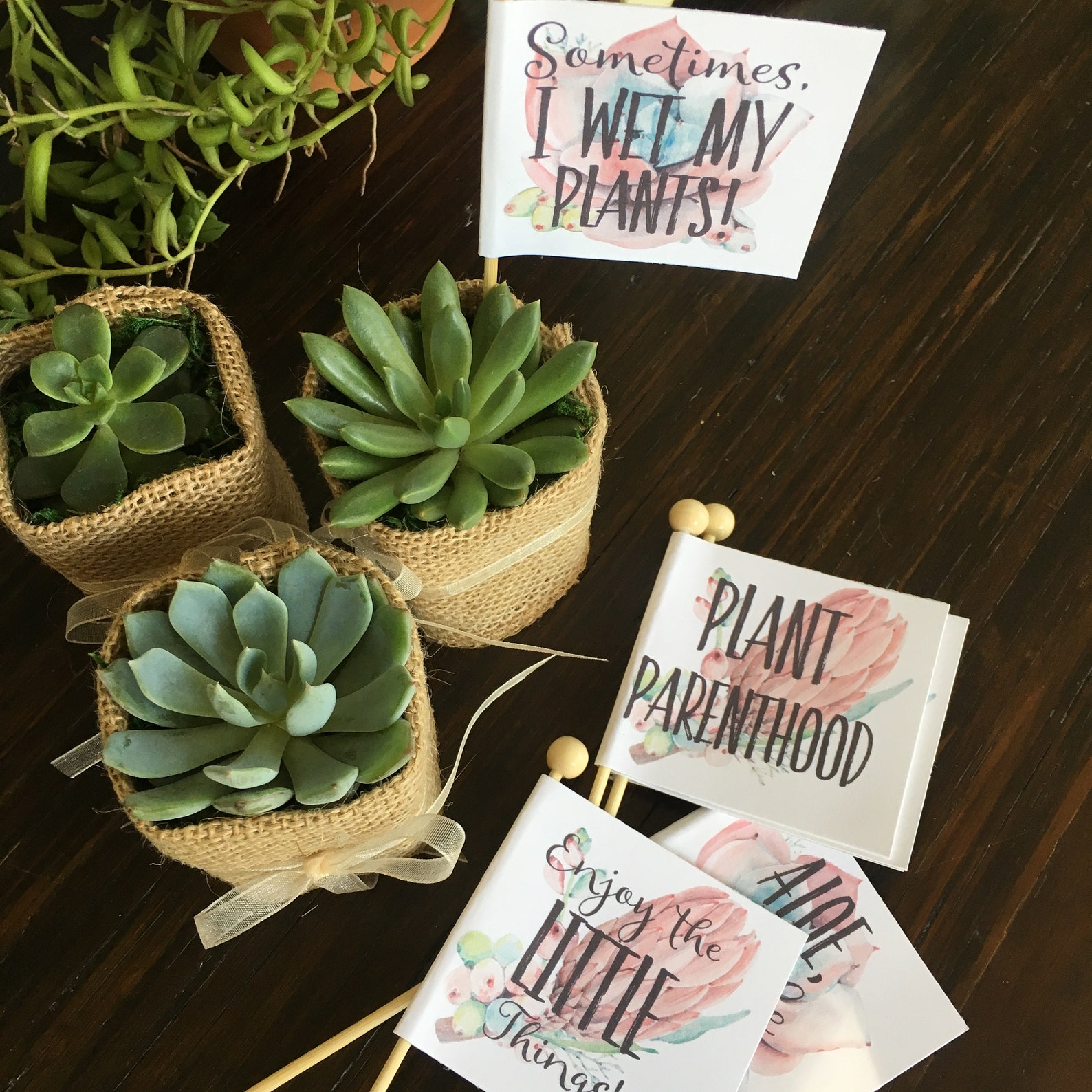 Baby Shower Favor Tags Plant Puns Personalized Custom Tags // Etsy