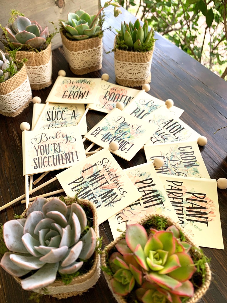 Baby Shower Favors Succulent Favors With Plant Puns & Baby Etsy