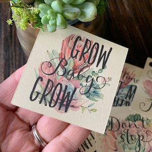 May include: A square cream-colored paper tag featuring a watercolor illustration of pink and green succulents and the black printed text GROW Baby GROW. The tag has a small hole at the top corner and is part of a collection of similar plant-themed tags.