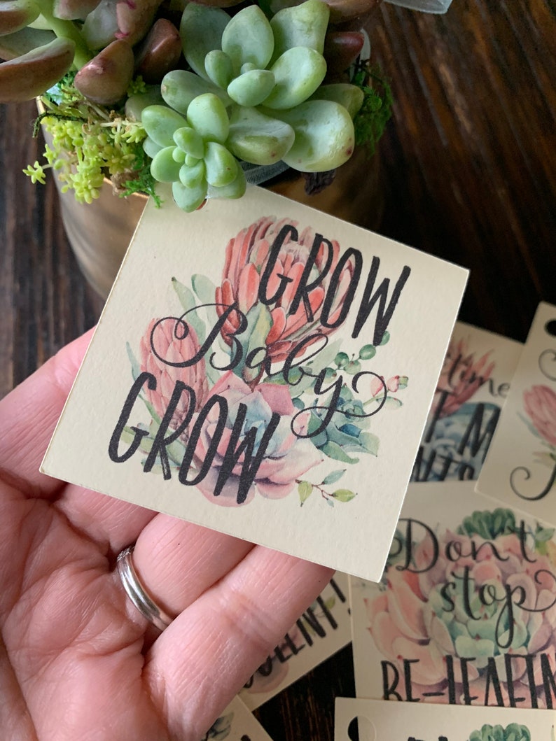 May include: A square cream-colored paper tag featuring a watercolor illustration of pink and green succulents and the black printed text GROW Baby GROW. The tag has a small hole at the top corner and is part of a collection of similar plant-themed tags.