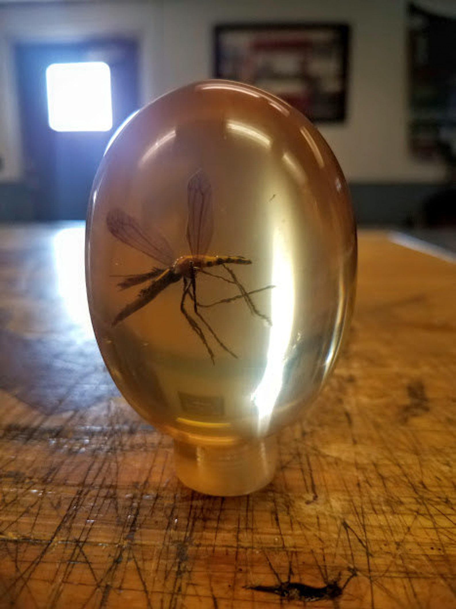Jurassic Park style Mosquito Shift knob/ cane top/ replica Etsy