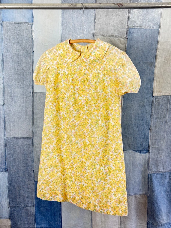 Vintage 1960s Floral Sheer Mini Dress