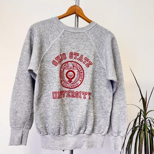 Vintage 1970s Flocked Ohio State University Graphic Raglan