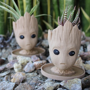 May include: Two tan-colored Groot-shaped planters, each with a round base, sit among rocks and greenery. One planter holds a small succulent. The planters have black eyes and a detailed, textured design.