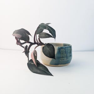 Pottery Plant Bowl |  Rustic Small Planter