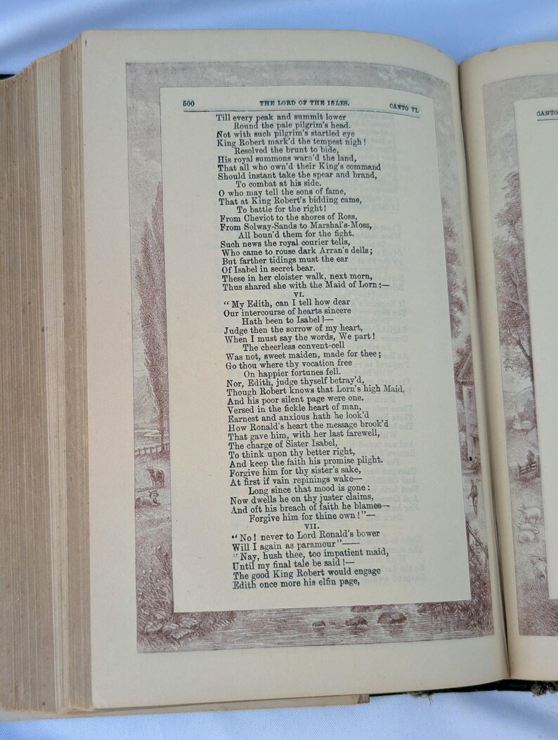 May include: An open antique book featuring printed black text on cream-colored paper. The page displays a section of The Lord of the Isles, including stanzas VI and VII, with decorative brown-toned illustrations of landscapes bordering the text.