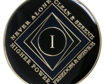Clean Time Recovery Chip Black with Blue accents