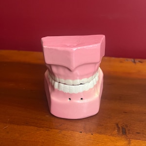 May include: A dental model featuring a pink gum base and white teeth. The upper and lower jaw sections are joined together in a closed position. The model has a smooth, matte finish and includes two small circular holes on the lower front gum area.