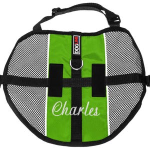 May include: A green and black dog harness with the name "Charles" embroidered in white script. The harness features a mesh design, black straps, and a "DOG LINE" label.