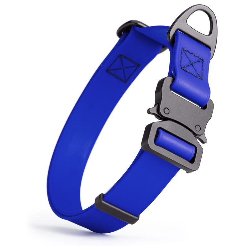 Blueberry Biothane dog collar with metal quick release buckle and D-ring, adjustable