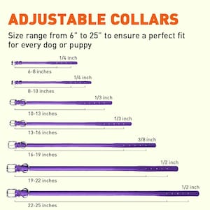 May include: Adjustable dog collars in purple, with sizes ranging from 6 to 25 inches. Each collar is labeled with its size and width in inches.