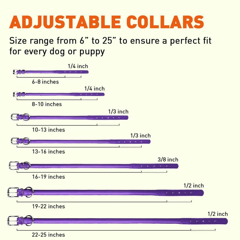 May include: Adjustable dog collars in purple, with sizes ranging from 6 to 25 inches. Each collar is labeled with its size and width in inches.