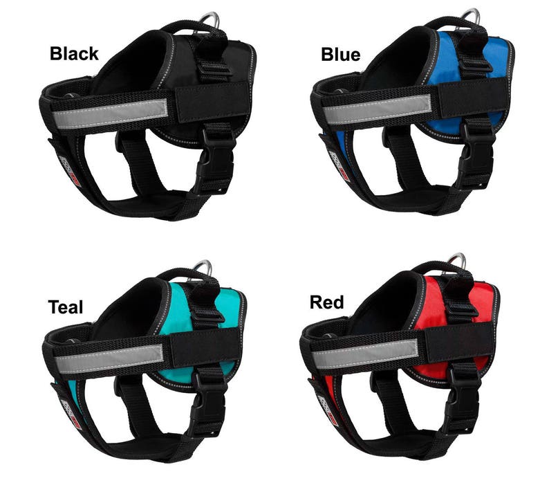 Personalized Dog Harness With Custom Patch Hook Fastener Etsy