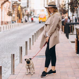 May include: A woman in a tan coat and hat walks a pug dog on a red leash down a city street. The dog wears a brown harness. The woman is wearing black pants and black sneakers with orange accents.