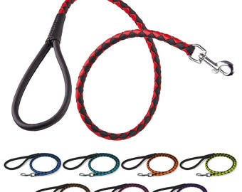Soft Leather Braided Dog Lead, Two Tone 4 FT