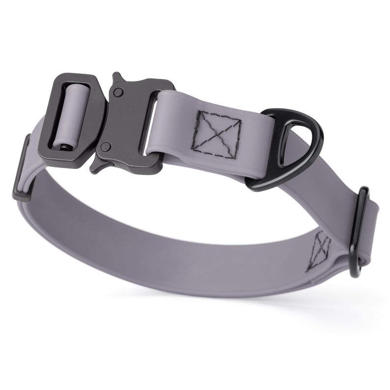 Battleship Gray Biothane dog collar with metal quick release buckle and metal D-ring, 1 inch wide, adjustable