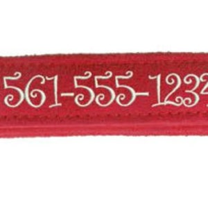 May include: Red dog collar with a black buckle and a white inscription that reads "Buddy 561-555-1234". The collar has a black D-ring for attaching a leash.