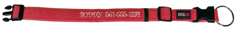 May include: Red dog collar with a black buckle and a white inscription that reads "Buddy 561-555-1234". The collar has a black D-ring for attaching a leash.