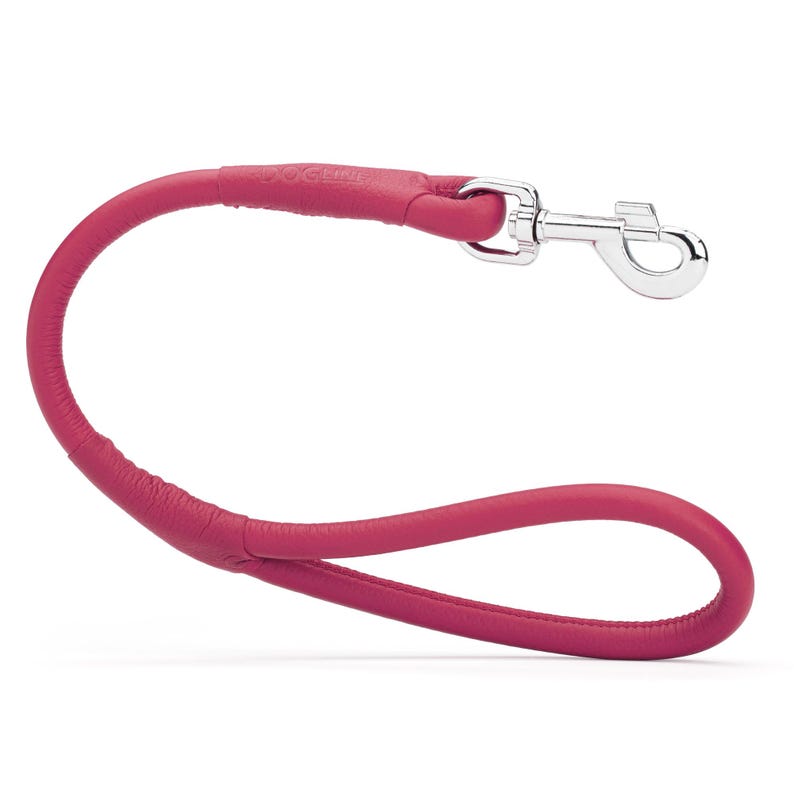 May include: A magenta-colored dog leash with a silver-colored metal clasp. The leash is made of a smooth, rounded material and features a loop handle. The brand name is visible on the handle.