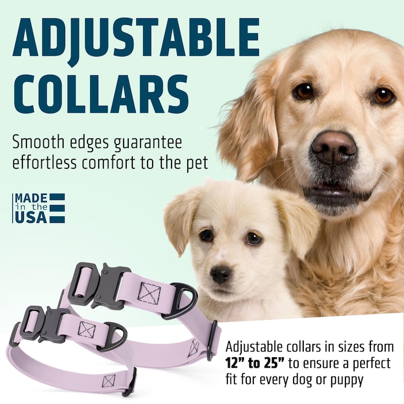 Puede incluir: Dos collares ajustables para perros de color lavanda con herrajes negros se muestran frente a un golden retriever y un cachorro. El texto dice &laquo;COLLARES AJUSTABLES&raquo;. Los collares est&aacute;n disponibles en tama&ntilde;os de 30.5 cm a 63.5 cm.