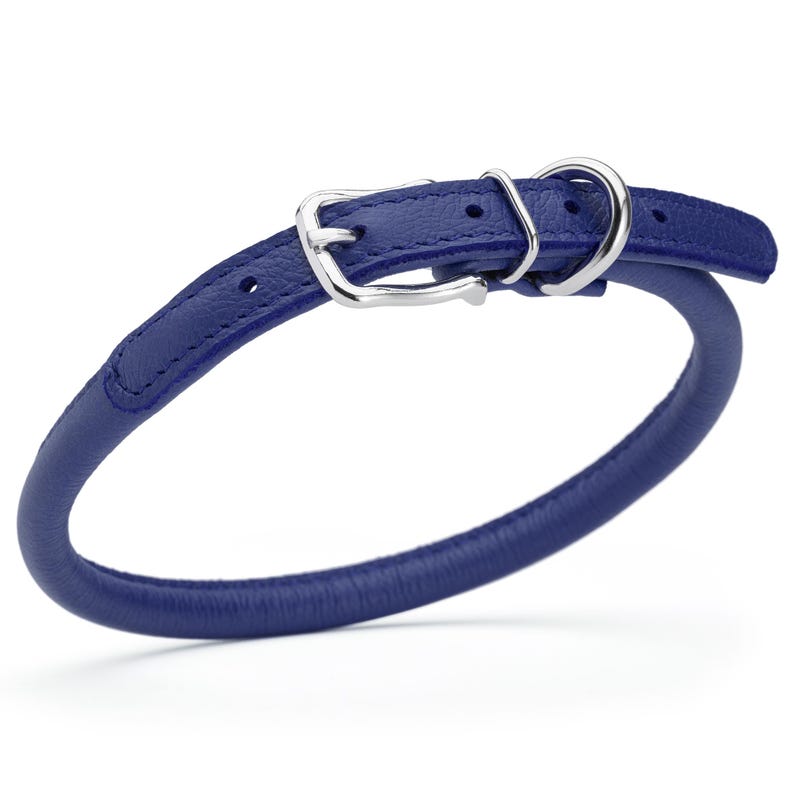 Royal Blue leather dog collar with metal hardware, round design, 3/8 inch wide