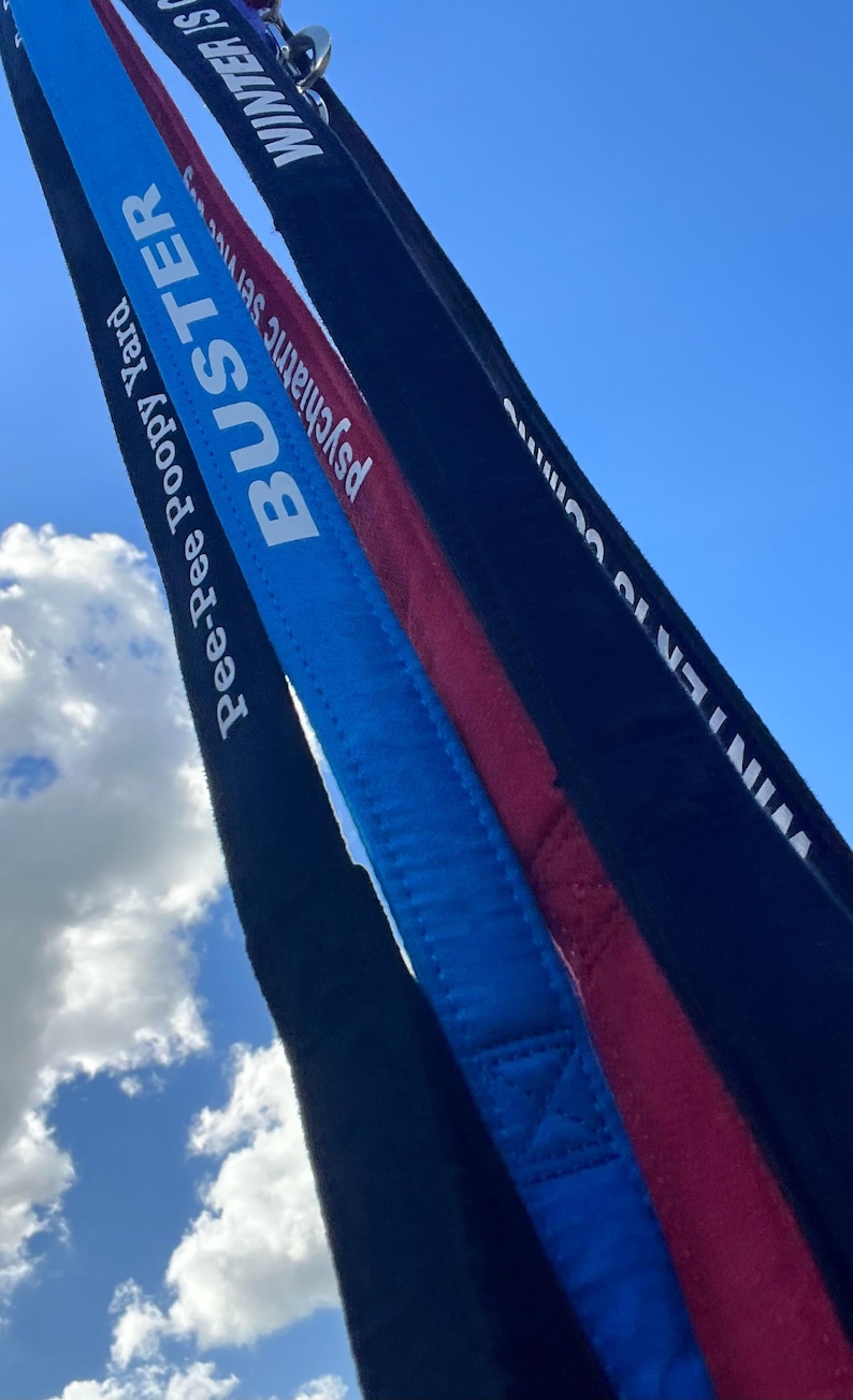 May include: Three black, blue, and red lanyards with white text. The text on the black lanyard reads "WINTER IS COMING". The text on the blue lanyard reads "PSYCHEDELIC SERVICE BUSTER". The text on the red lanyard reads "Pee-pee Poopy  PLEX".
