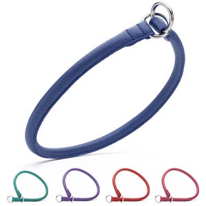Rolled Leather Slip Collar for Dogs – Round Dog Choker