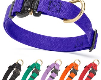 BioThane Dog Collar with Cobra Buckle, Pebble Textured Coating, Waterproof, Quick Release