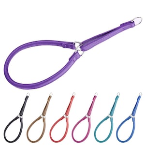 Rolled Leather Martingale Collar for Dogs - Soft, No Slip - Fits Small, Medium & Large Dogs