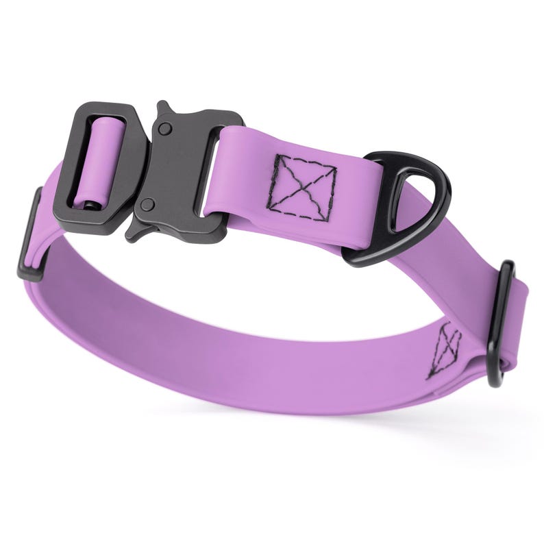 Amethyst Purple Biothane dog collar with metal quick release buckle and metal D-ring, 1 inch wide, adjustable