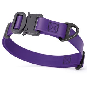 Violet Purple dog collar with metal buckle and D-ring, 3/4 inch wide, made from Biothane