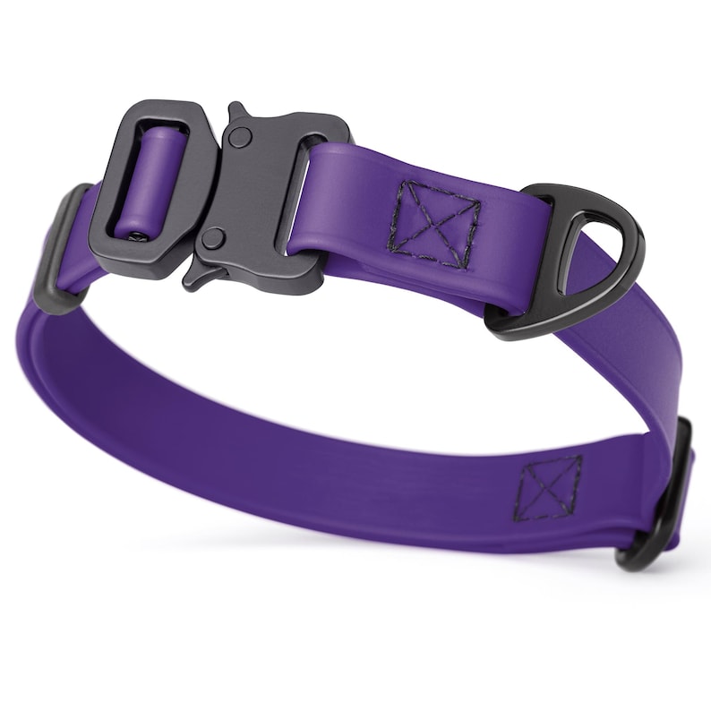 Violet Purple dog collar with metal buckle and D-ring, 3/4 inch wide, made from Biothane